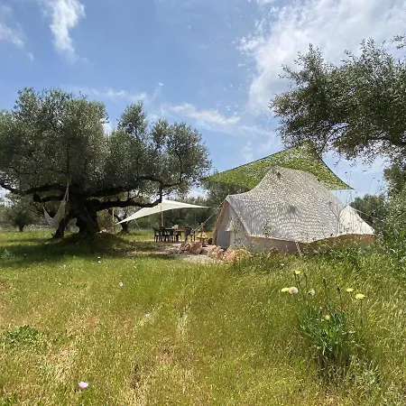 Paraiso Bell Tent Tortosa