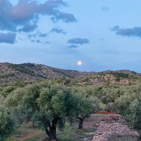 Paraiso Bell Tent Tortosa