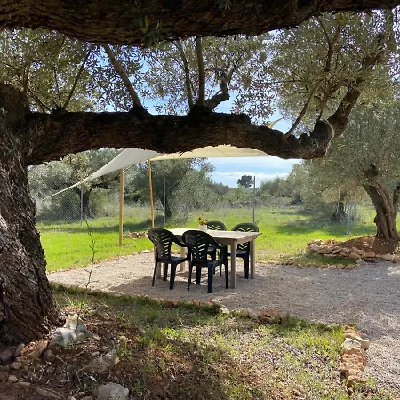 Luxury tent Paraiso Bell Tent Tortosa